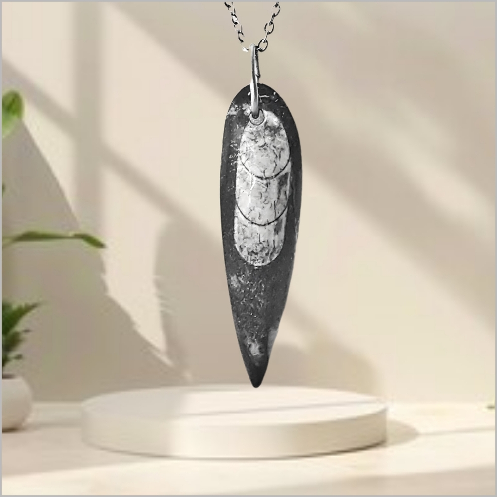 Genuine Orthoceras Fossil Pendant with Stainless Steel Necklace